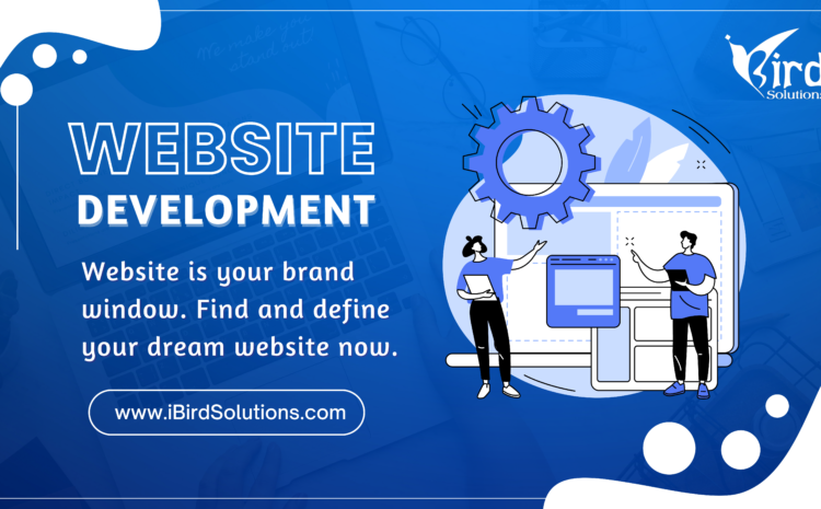 Website Development Vastral