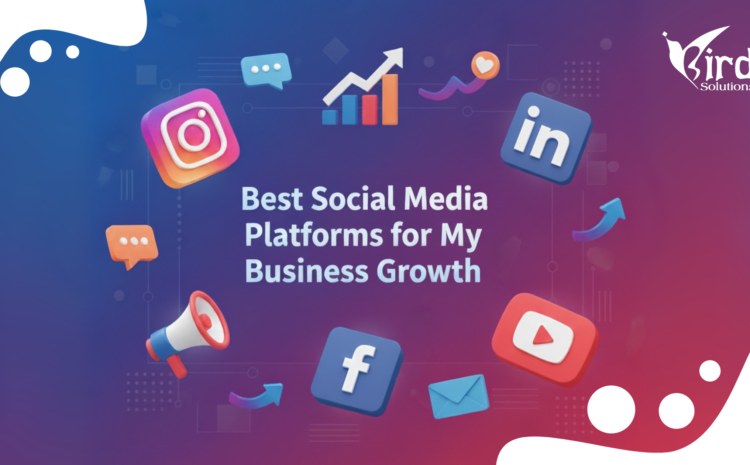 Best Social Media Platforms for My Business Growth: Instagram vs LinkedIn vs Facebook vs YouTube