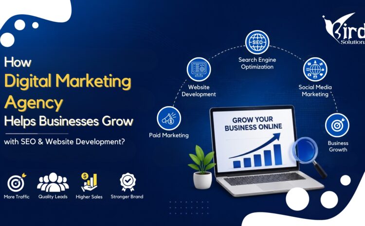 How a Digital Marketing Agency Helps Businesses Grow with SEO & Website Development?
